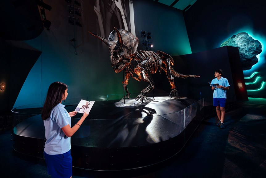 In a dark exhibition room, two teenage students work in their booklets as they look at the Triceratops skeleton.