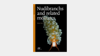 Cover of Nudibranchs and Related Molluscs Museum Victoria field guide