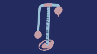 An illustration of a Daniell type hygrometer, which looks like a thermometer stood atop a stand, with a t-bar at the top and to glass orbs hanging down at different lengths on either end of the bar.