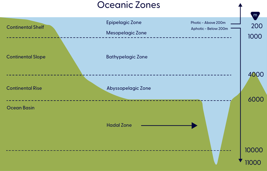 A map showing the ocean zones around the continental shelf