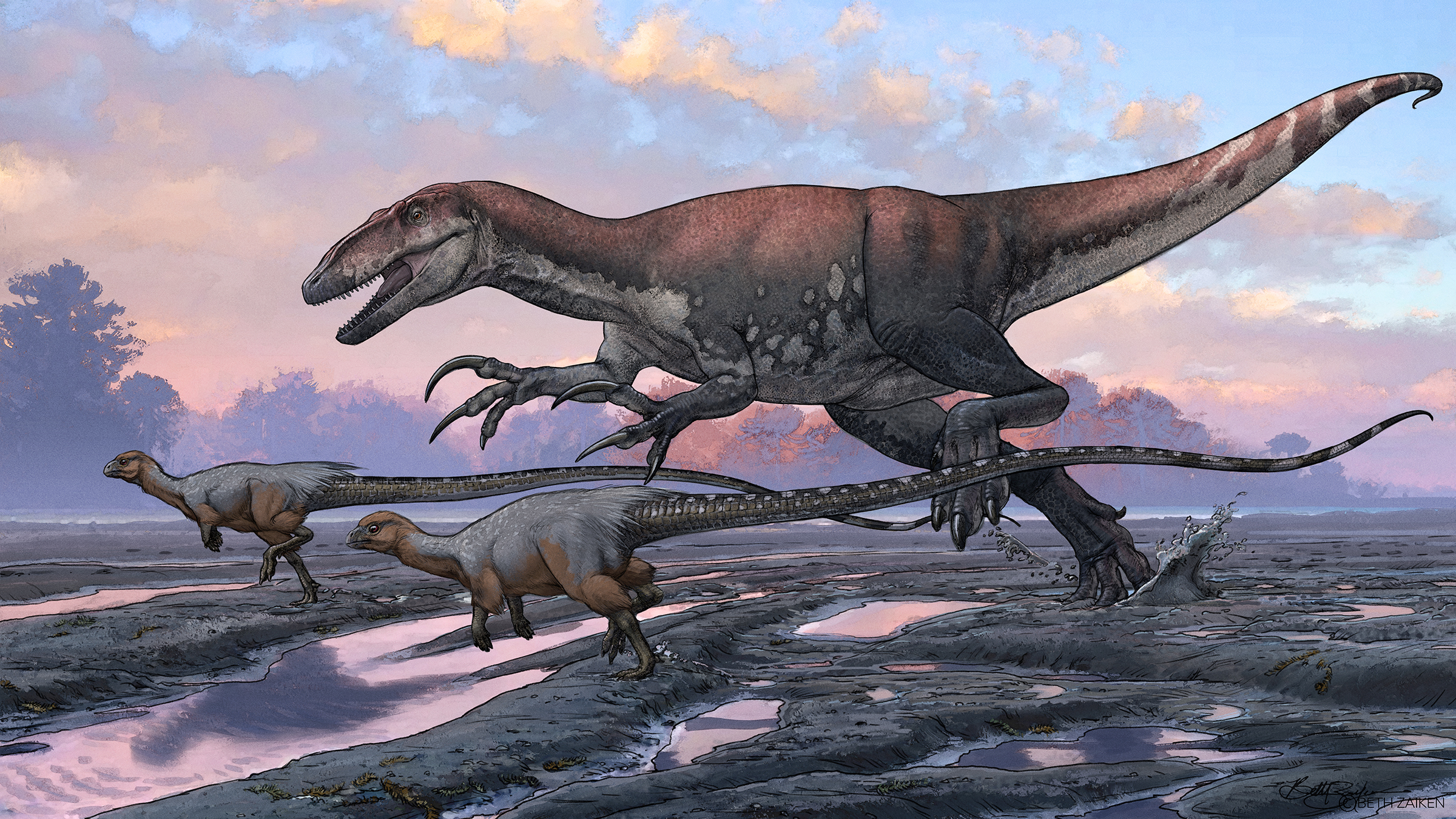 Meet an ancient Australian carnivore