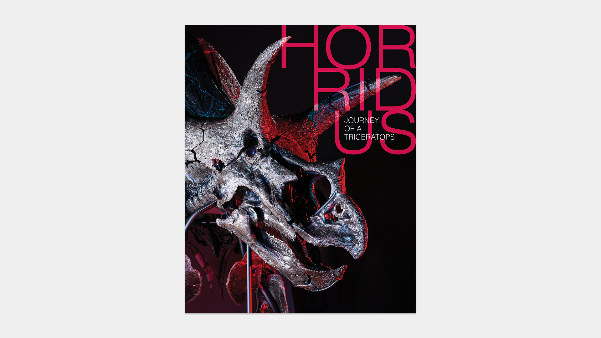 Cover of the Horridus Journey Of A Triceratops book